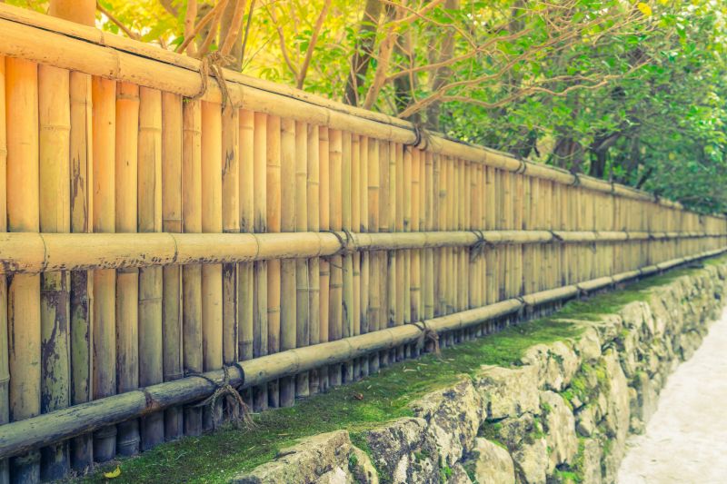 Natural Bamboo Fence